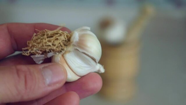 close-up of a wooden garlic mortar and whole garlic,