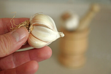close-up of a wooden garlic mortar and whole garlic,