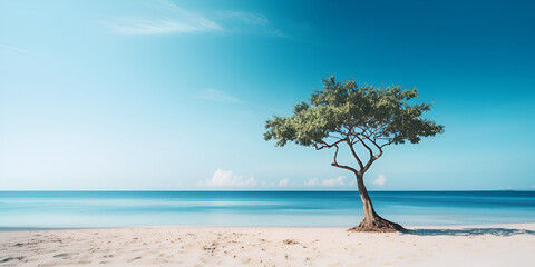 Lone tree growing in the sand ,a beautiful realstic summer beach wallpaper, palm tree ,Beautiful beach with tree.
