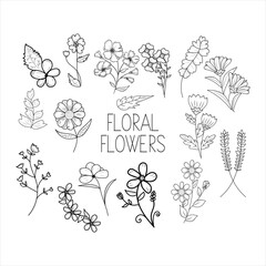 Floral doodle  art illustration, hand-drawn Floral elements