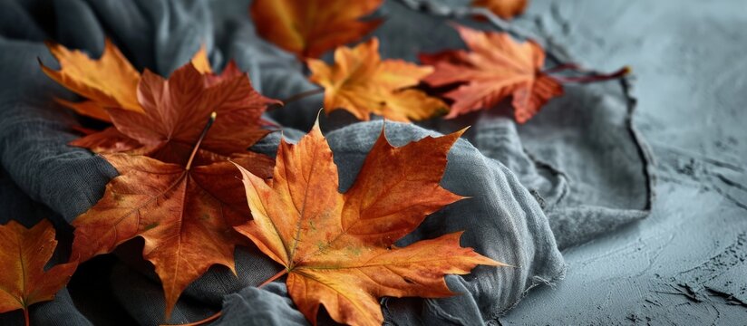 Elevate your fall fashion with chic and warm essentials a fashionable soft cashmere scarf with maple leaves on top view image on a grey isolated background leaving space for text or advertising