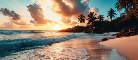 Art Beautiful sunset over the tropical beach. Creative Banner. Copyspace image