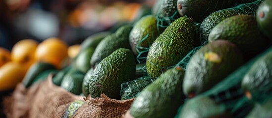 Avocados on grocery produce store shop supermarket display raw unripe tropical green fruit in mesh net bags. Creative Banner. Copyspace image