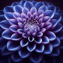 lotus flower in blue and purple shades