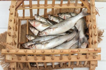 Mullet fish, seafood, kopi space,to catch, to fish