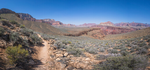 Obraz premium hiking the tonto trail in the grand canyon national park, arizona, usa