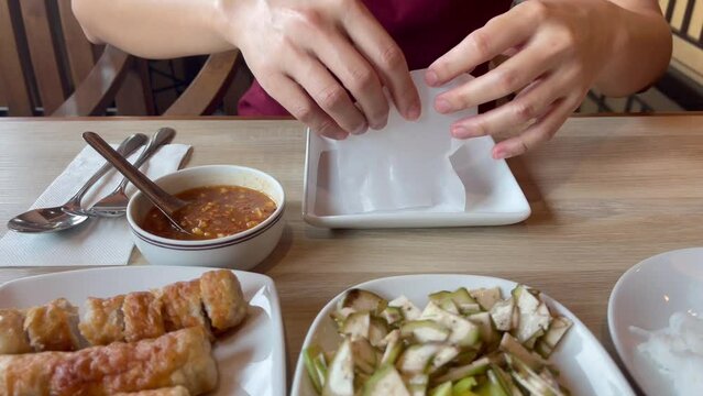 Fresh Vietnamese spring rolls meal, stock footage
