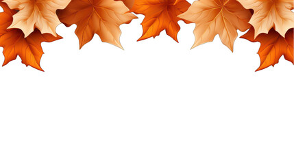 Maple Leaves Border Design Isolated on Transparent or White Background, PNG