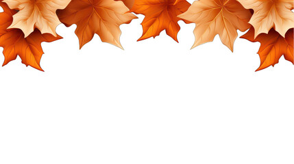 Fototapeta premium Maple Leaves Border Design Isolated on Transparent or White Background, PNG