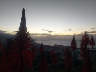 Madeira island landscape, view, nature, background, paradise, island, ocean, clouds, colours,...