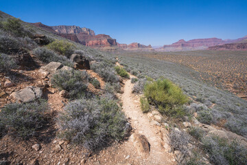 hiking the tonto trail in the grand canyon national park, arizona, usa