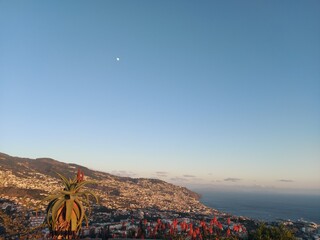 ilha da madeira, paisagem, verde, céu, azul, planta, árvore, ar livre, asia, viagem, turismo,...