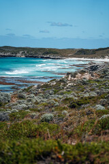Paradise Found on Rottnest Island