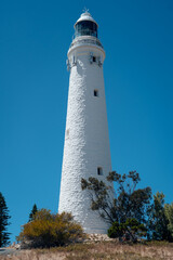 Paradise Found on Rottnest Island