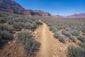hiking the tonto trail in the grand canyon national park, arizona, usa