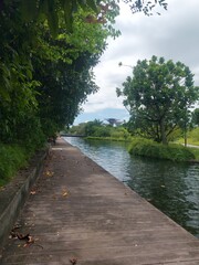 singapura, paisagem, edifício, arquitetura, verde, design, céu, azul, planta. árvore, ar livre, asia, viagem, turismo, verde, azul, exterior, arte, pôr-do-sol, cidade, vistas, panoâmica, cores, detalh