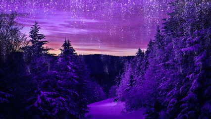 snowfall in a forest at night