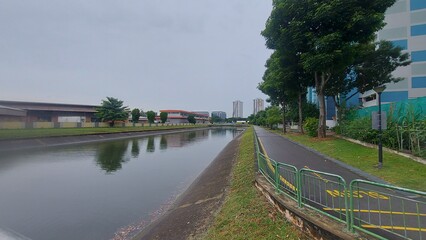 singapura, paisagem, edif&iacute;cio, arquitetura, verde, design, c&eacute;u, azul, planta. &aacute;rvore, ar livre, asia, viagem, turismo, verde, azul, exterior, arte, p&ocirc;r-do-sol, cidade, vistas, panor&acirc;mica, cores