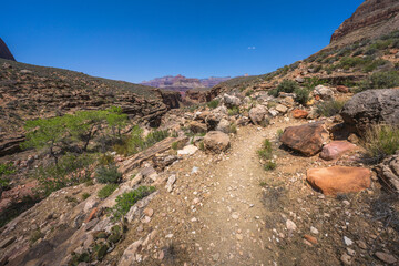 hiking the tonto trail in the grand canyon national park, arizona, usa