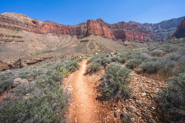 hiking the tonto trail in the grand canyon national park, arizona, usa