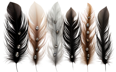 An Elegant Display of Glamorous False Eyelashes for Females on White or PNG Transparent Background