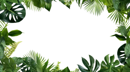 Foto op Plexiglas Green leaves frame cut out © Yeti Studio