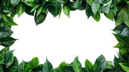 Green leaves frame cut out