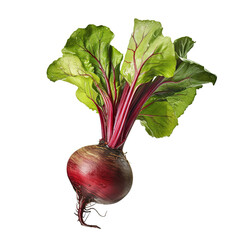 Fresh beet with leaves, cut out - obrazy, fototapety, plakaty