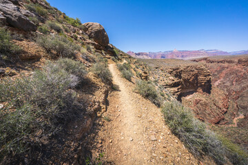 hiking the tonto trail in the grand canyon national park, arizona, usa