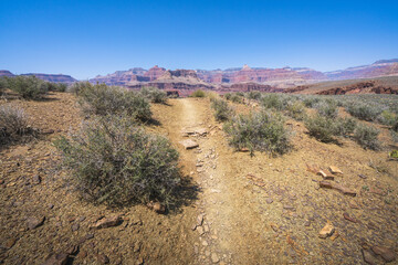 hiking the tonto trail in the grand canyon national park, arizona, usa