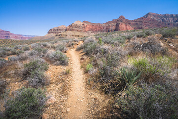hiking the tonto trail in the grand canyon national park, arizona, usa