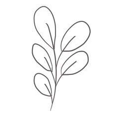 doodle leaves decoration