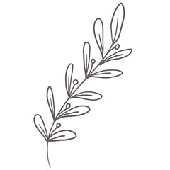 doodle leaves decoration