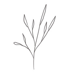 doodle leaves decoration