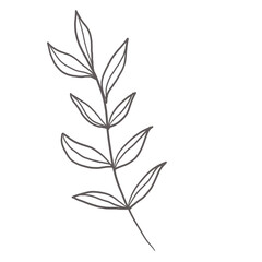 doodle leaves decoration