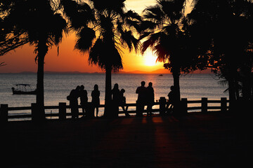 Silhouettes of a group of people on the beach as the sun sets