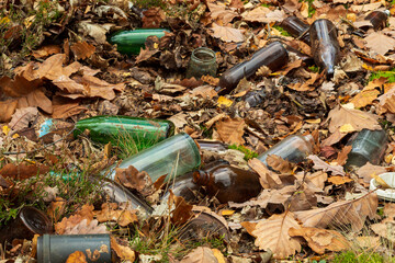 Empty glass bottles trash in the forest. Ecology, pollution and environment risk concept.