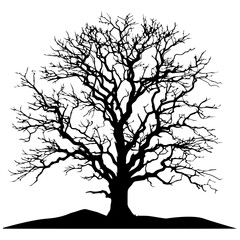 Naked Tree vector silhouette black color 