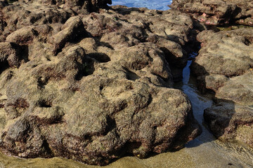 Rock formations on low tide