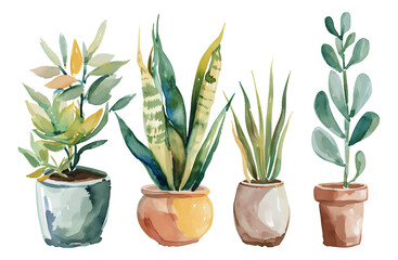 watercolor texture cactus in pots