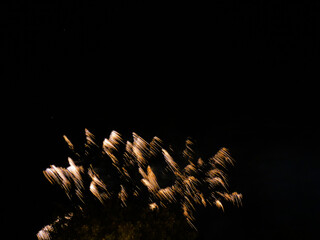 Photo with free space of the Senas fireworks during the feast of Saint Amand. This photograph was taken in Senas in Provence in France 