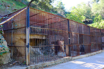 Los Angeles, California: Old Abandoned Los Angeles Zoo located in Griffith Park. View of the Cages - 700572415