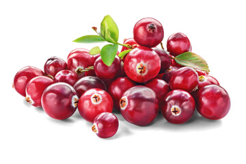 Unic Cluster of Ripe Cranberries Isolated