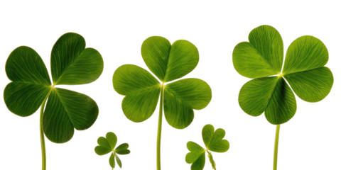 Unic Clover Set on White