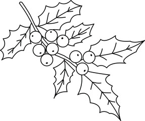 doodle simple, cute hand-drawn Holly pattern, The Holly design used decorate Christmas cards, invitations, wreaths. beautiful  Holly leaves and berries.