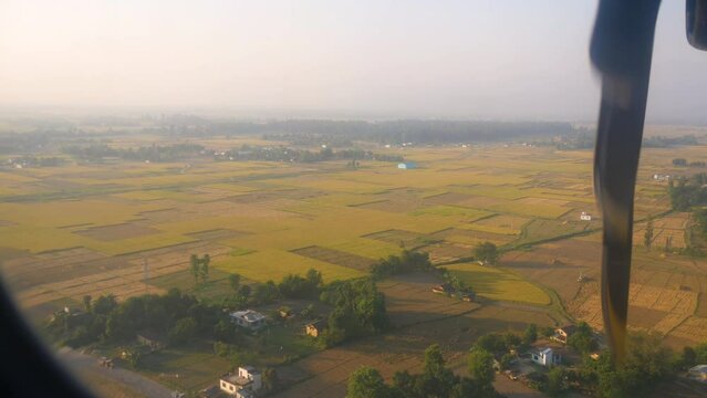 An airplane flying above beautiful plain land and field full of rice crops with green and yellow color, flying over beautiful rice fields