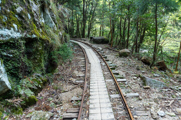 Obraz premium Trail in Shiratani Unsuikyo Ravine on Yakushima Island