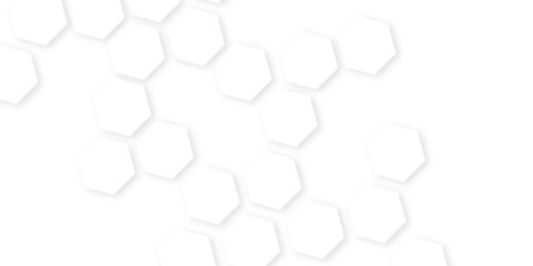 Background with hexagons Abstract background with hexagons.geometric mesh cell texture.Embossed Hexagon , honeycomb white Background,