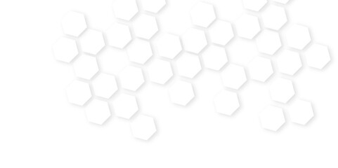 Background with hexagons Abstract background with hexagons.geometric mesh cell texture.Embossed Hexagon , honeycomb white Background,
