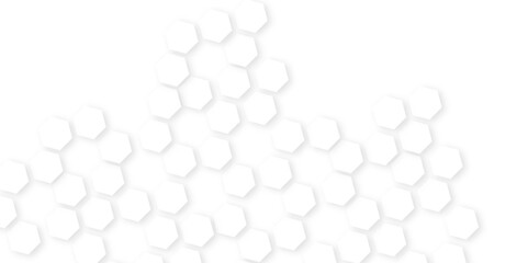 Background with hexagons Abstract background with hexagons.geometric mesh cell texture.Embossed Hexagon , honeycomb white Background,